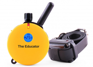 Educator.jpg