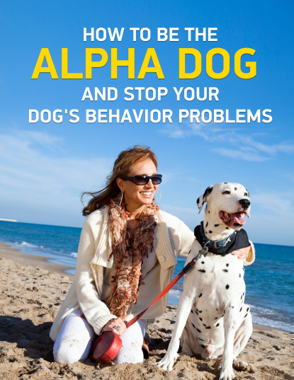 How_to_be_the_alpha_dog_and_stop_your_dogs_behavior_problems.jpg