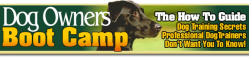 dobc_header.jpg